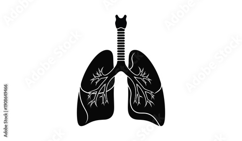 Anatomical illustration of human lungs with trachea and bronchi in black