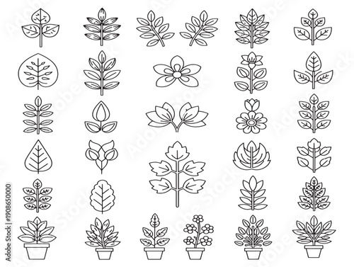 Botanical landscape line art vector with a lovely and intricate design