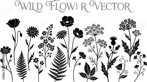 Wild flower vector collection featuring hand drawn botanical plants, meadow florals and leaves, black nature illustration set isolated on white for design and patterns
