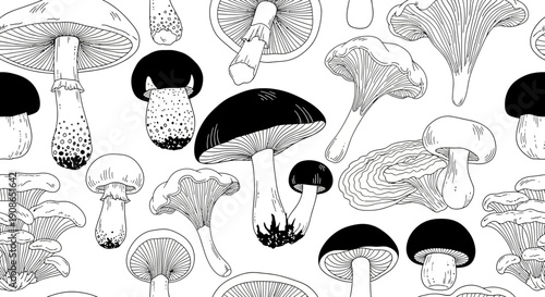 Collection of various mushrooms illustrated in black and white from a top-down viewpoint