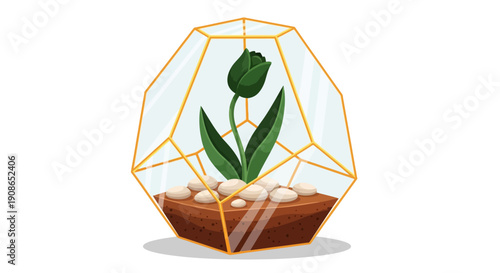 A geometric terrarium containing a green plant with leaves and a bud, surrounded by white pebbles, viewed from the front