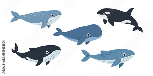 Whale Set Illustration. Ocean Marine Life. Group of Five Whales Isolated on White