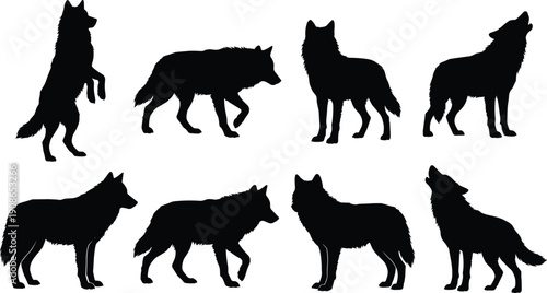 Wolf silhouette vector collection featuring howling and walking poses, black wild canine icons isolated on white for wildlife design, logos, branding and outdoor themes