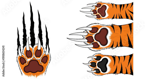 Tiger paw prints and claws illustration on a simple background