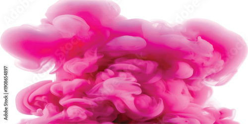 Pink rose petals and pink carnation flower isolated on white background with soft floral spring bloom texture