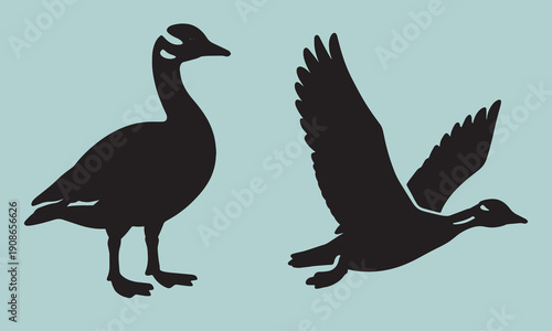 Vector silhouette of canadian goose in standing and flying positions isolated on plain background for migration concepts and wildlife park branding