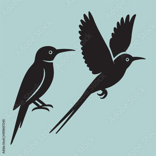 Hummingbird silhouette vector illustration featuring perching and hovering small bird shapes isolated on light blue background for nature themed art
