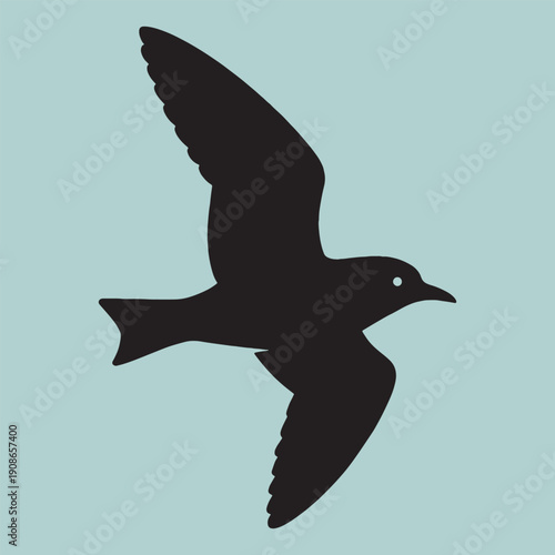 Flying seagull silhouette with white eye detail in mid flight against solid background for coastal nature themes and maritime wildlife illustration art