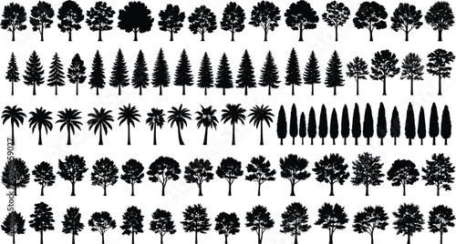 Tree silhouette collection with broadleaf, conifer, palm, cypress diverse foliage patterns botanical landscape concept, nature illustration, flat vector illustration