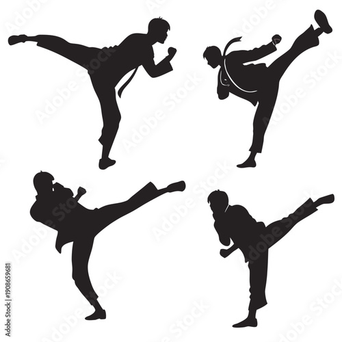 martial arts silhouettes
