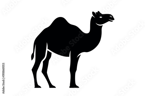 Black silhouette of a camel standing with its head up