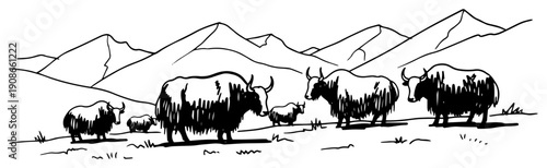 Yak herd in mountain valley landscape hand drawn line art vector illustration