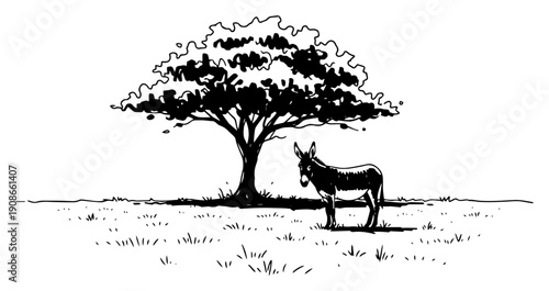 Donkey standing under shade tree in pasture hand drawn line art vector illustration