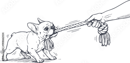 hand drawn illustration of a french bulldog playing tug of war with a rope held by a human hand black fill drawing with no white fills for easy design integration