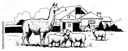 Llama And Sheep Flock By Farmhouse Pasture Hand Drawn Black and White Vector Illustration