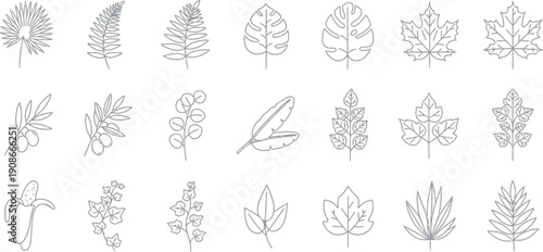 Collection of diverse tropical and temperate plant foliage icons featuring line art illustrations of various leaf shapes including maple banana and palm styles
