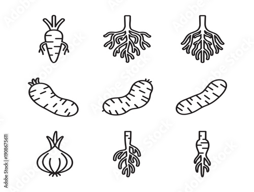 Educational root diagrams illustrated in clean line art