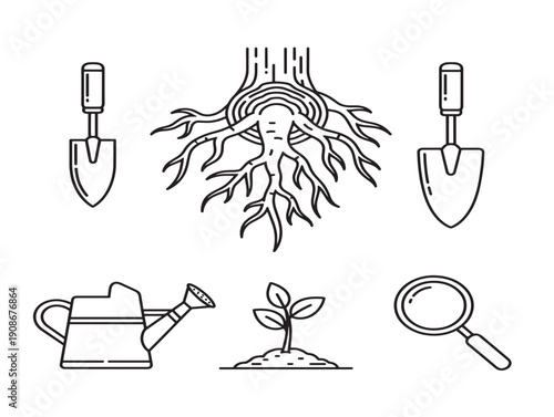 Botanical garden roots illustrated in elegant vector lines