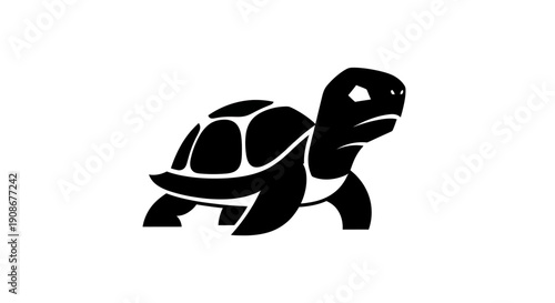Black turtle silhouette on white