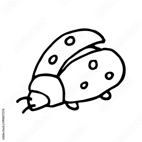 Ladybug, simple black and white doodle vector hand drawn isolated.