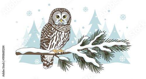 A detailed barred owl is sitting attentively on a snow-laden pine branch, with gentle snowflakes falling in a soft winter forest setting.
