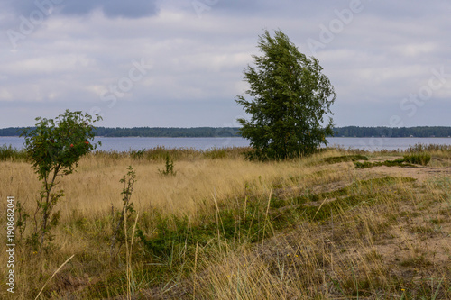 Coastal sand dunes, Monäs, Finland