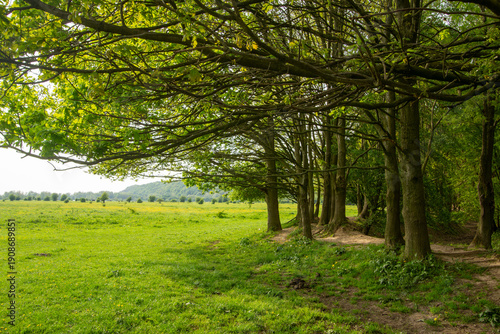 Landscape in the Blauwe Kamer between Rheden and Wageningen in the Netherlands