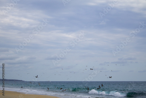 Flock of birds over ocean waves under cloudy sky