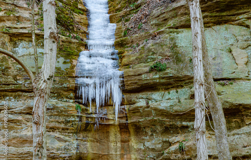 560-81 Ice Between Trees