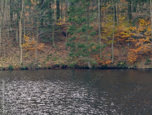Obraz na płótnie peaceful lake scene featuring silvery ripples and gentle autumnal landscape for