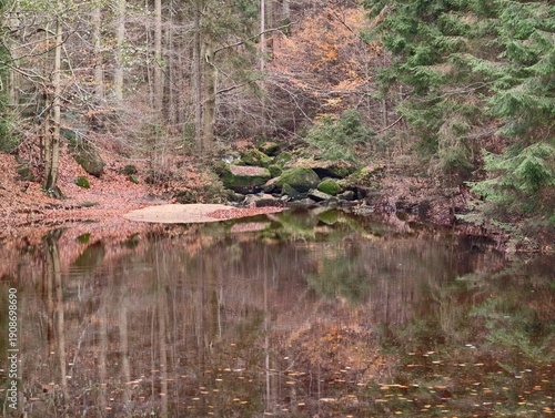 Fotografía tranquil hidden pond surrounded by greenery, private forest basin with lush moss