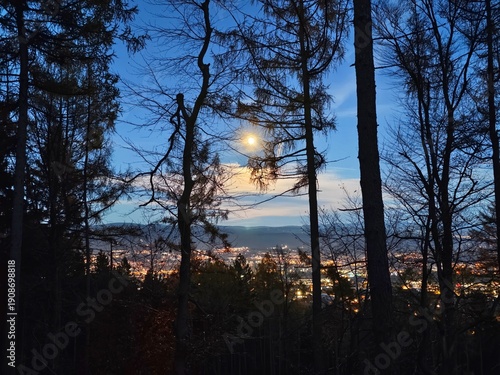 Konstfotografi illuminated city under starry night sky, serene moonlit woods surround luminous