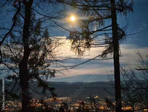 Canvastavla night scene serenity, tranquil forest under moonlight with distant city illumina