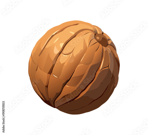 A closeup macro of a healthy organic walnut cracked open in its brown shell, showing a natural nut snack isolated on a white background as a nutritious food ingredient