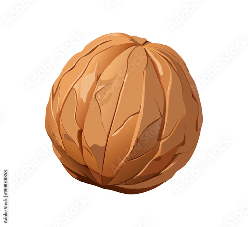 A closeup macro of a healthy group of cracked brown walnuts in their natural nutshell isolated on a white background as a nutritious dried food snack and organic ingredient