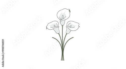 Simple vector illustration of three white calla lilies with green stems grouped together on a plain white background.