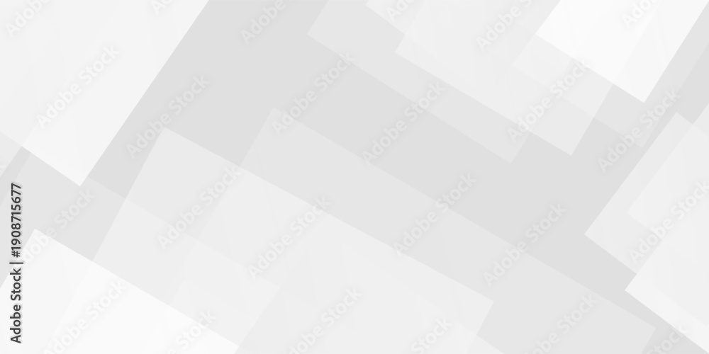Obraz premium Abstract white and gray hexagon shapes background with lines white light grey design