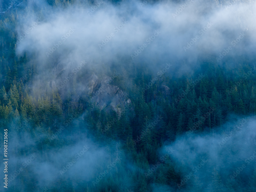 Obraz premium Misty Forest Ridge Shrouded in Fog Over Howe Sound, BC, Canada Landscape Morning View
