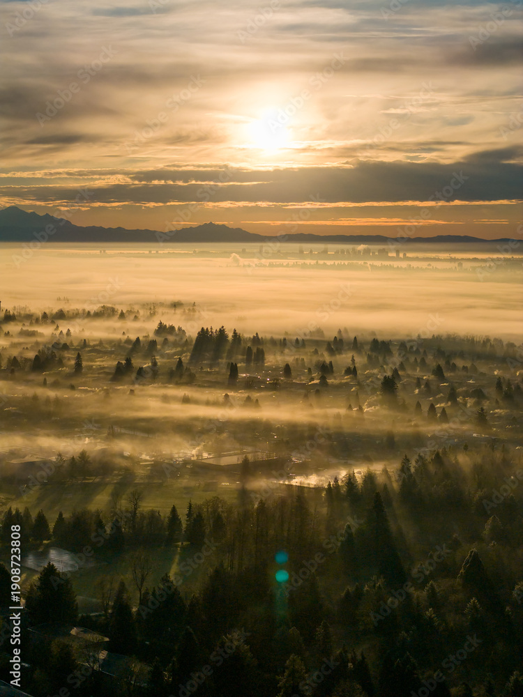 Fototapeta premium Golden Sunrise Over Misty Forest and City Skyline in Burnaby, BC, Canada at Dawn