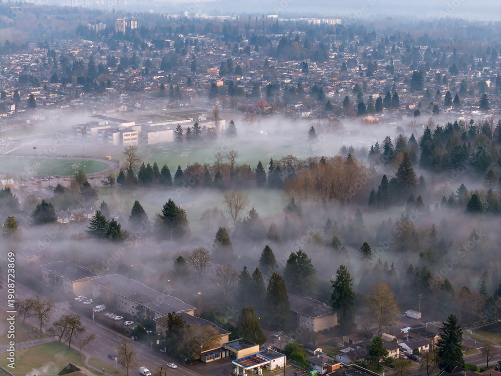 Fototapeta premium Aerial View Of Foggy Suburban Landscape In Burnaby, BC, Canada Over Trees And Fields