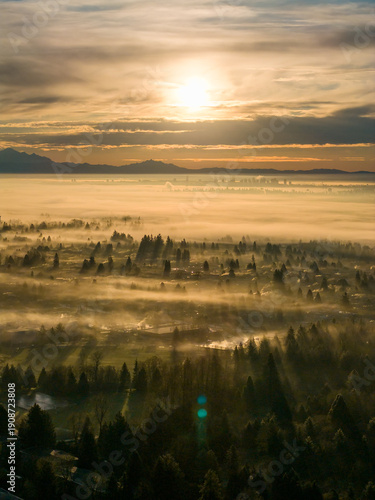 Golden Sunrise Over Misty Forest and City Skyline in Burnaby, BC, Canada at Dawn