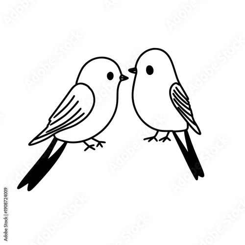 birds pair outline