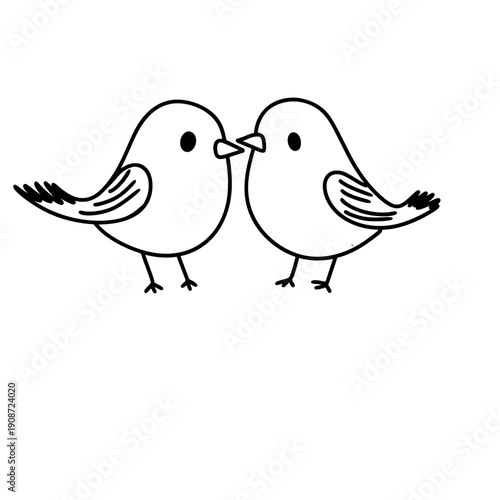 two Bird pair outline