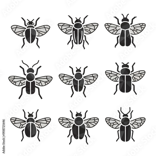 Set of 9 Black and White Insect Icons: Beetles and Flies, Vector Graphics