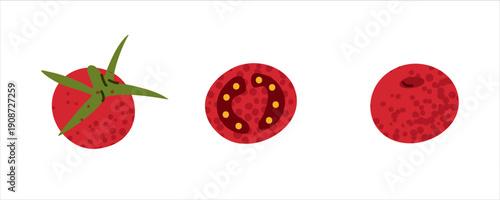 Tomato vegetable ingredient illustration showing whole fruit, sliced section and top view with seeds. Suitable for food themes, cooking concepts and editorial visuals.
