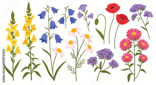 Collection of Diverse Wildflowers and Garden Blooms.