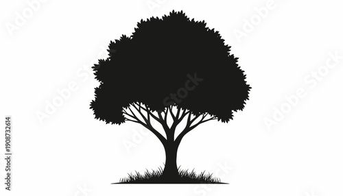 Silhouette of a Tree with Branches.