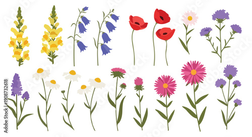 Collection of Diverse Wildflowers and Garden Blooms.