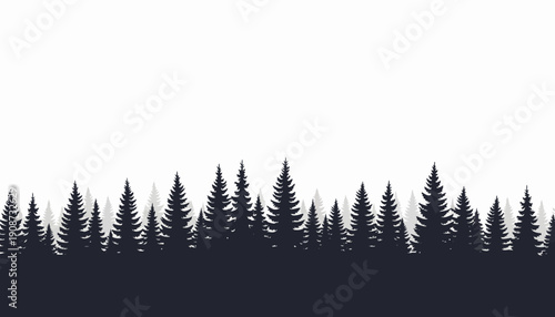 Silhouette of Evergreen Trees Against White Sky.