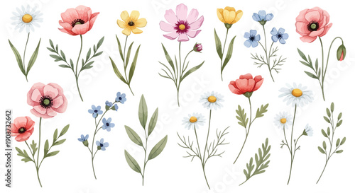 Watercolor Botanical Illustration of Assorted Wildflowers and Greenery.